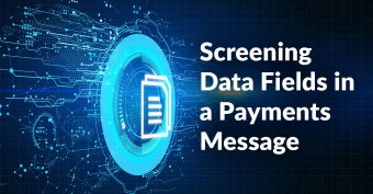 Payment message: what fields require screening